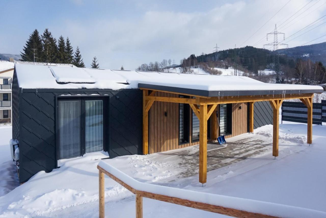 Chalet Stuhleckblick-Ferienhaus Direkt An Der Piste Und Mit Eigener Sauna Spital am Semmering Ngoại thất bức ảnh
